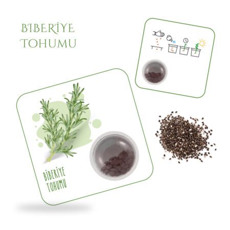 4812 - Biberiye Tohum Kartı