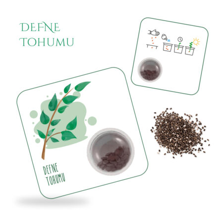 4815 - Defne Tohum Kartı