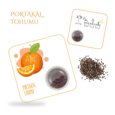 4808 - Portakal Tohum Kartı