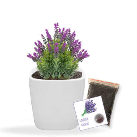 2517 - Hobby Dikim Kiti