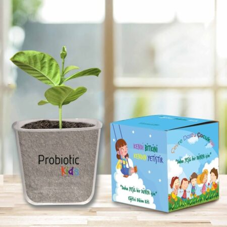 2549 - Çocuk Dikim Kiti