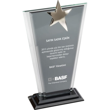 6806 - Kristal Plaket 13 x 23 cm