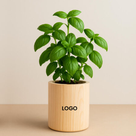 2551 - Ahşap Saksılı Dikim Kiti 8x10 cm