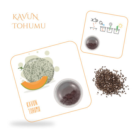 4810 - Kavun Tohum Kartı