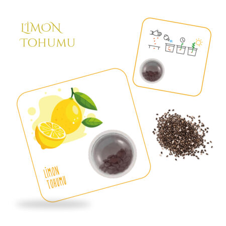 4817 - Limon Tohum Kartı